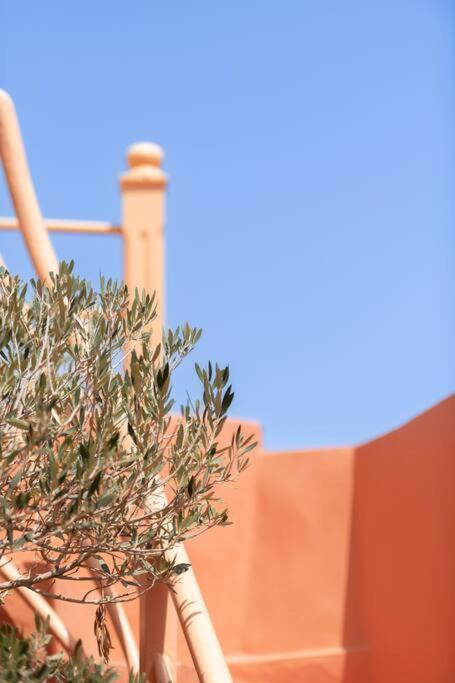 Riad Le Petit Bacha Marakéš Exteriér fotografie
